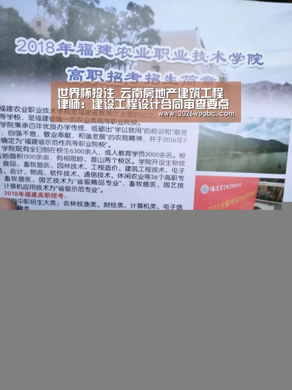世界杯投注_云南房地产建筑工程律师:建设工程设计合同审查要点(图2) 世界杯投注