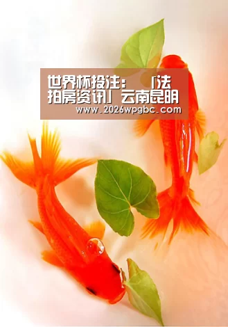 世界杯投注：
「法拍房资讯」云南昆明滇池卫城滟澜湾一房产以3