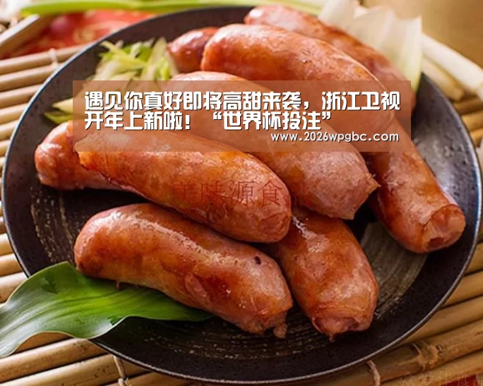 遇见你真好即将高甜来袭,浙江卫视开年上新啦!“世界杯投注”(图1) 世界杯投注