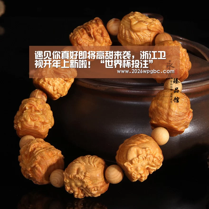 遇见你真好即将高甜来袭,浙江卫视开年上新啦!“世界杯投注”(图4) 世界杯投注