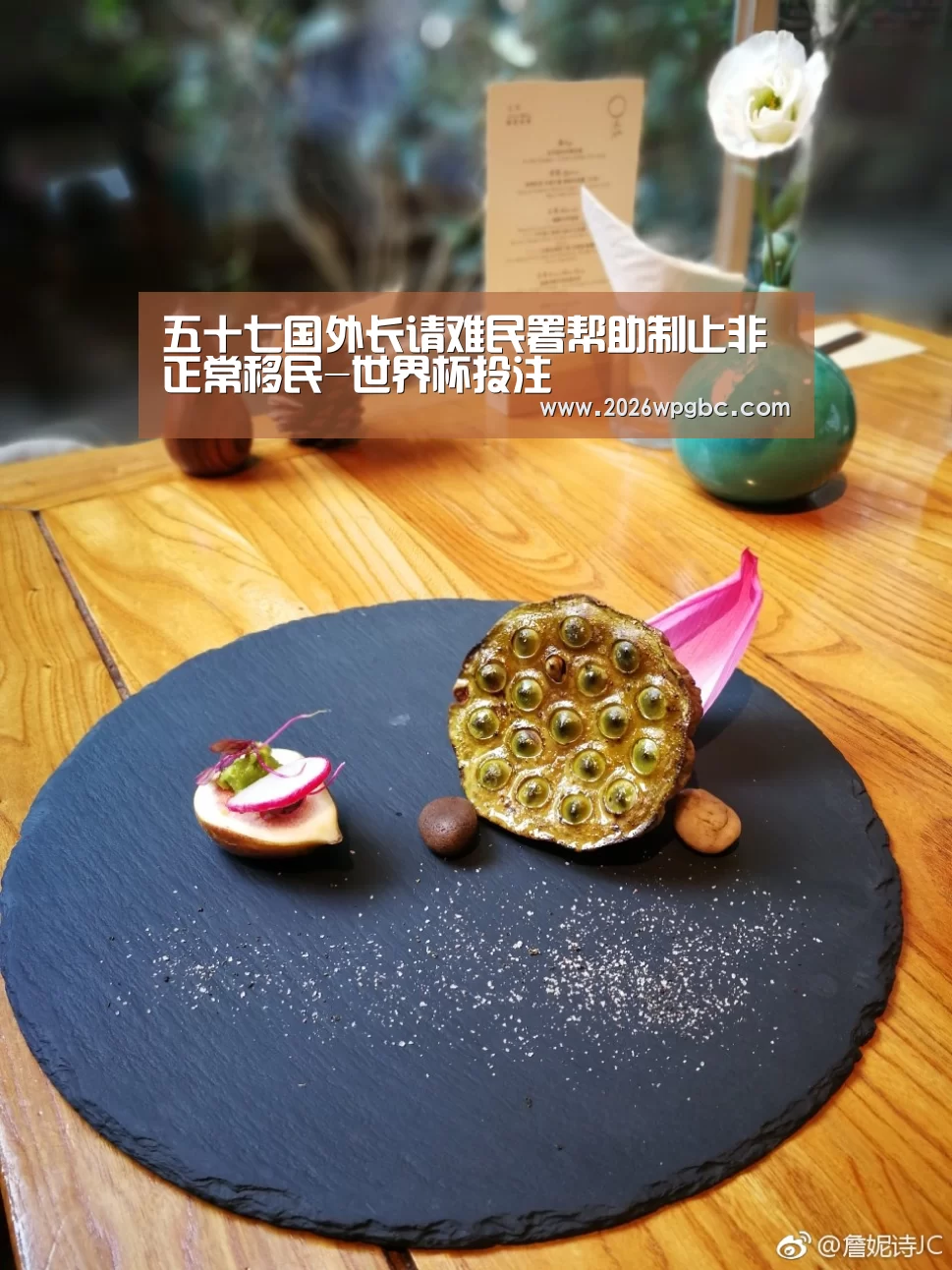 五十七国外长请难民署帮助制止非正常移民-世界杯投注