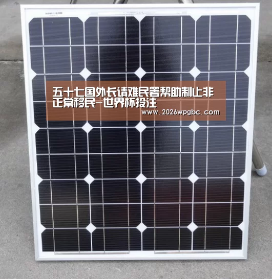 五十七国外长请难民署帮助制止非正常移民-世界杯投注(图2) 世界杯投注